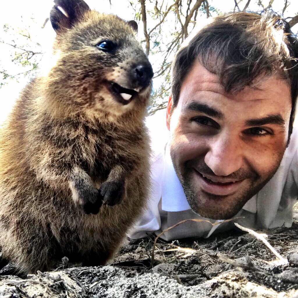 Roger's Quokka selfie reaches 581 million - 6PR