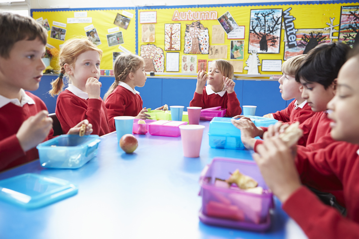 Healthy food ‘should be subsidised’ at schools