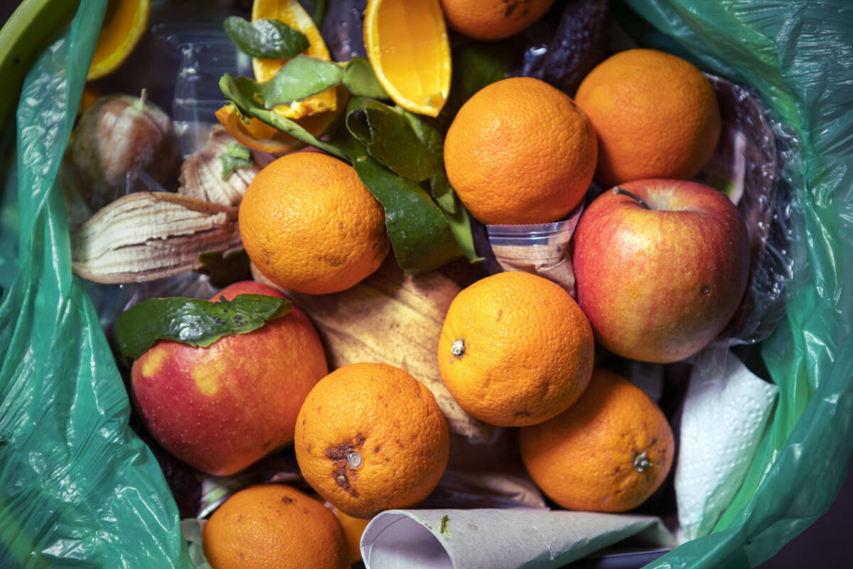 Article image for New initiative to halve food waste by 2030