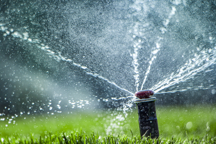 Article image for Why you could have your garden bore usage reduced