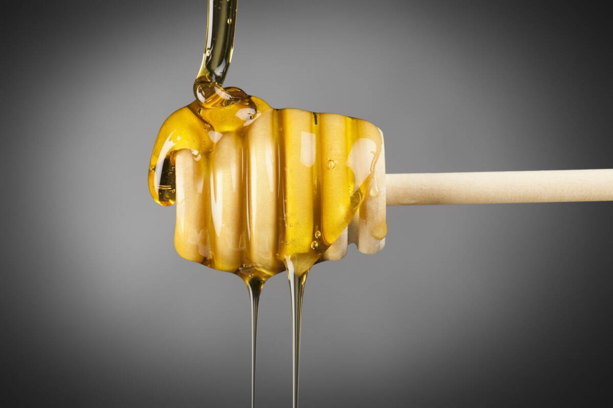 Article image for The Trans-Tasman battle over Manuka Honey