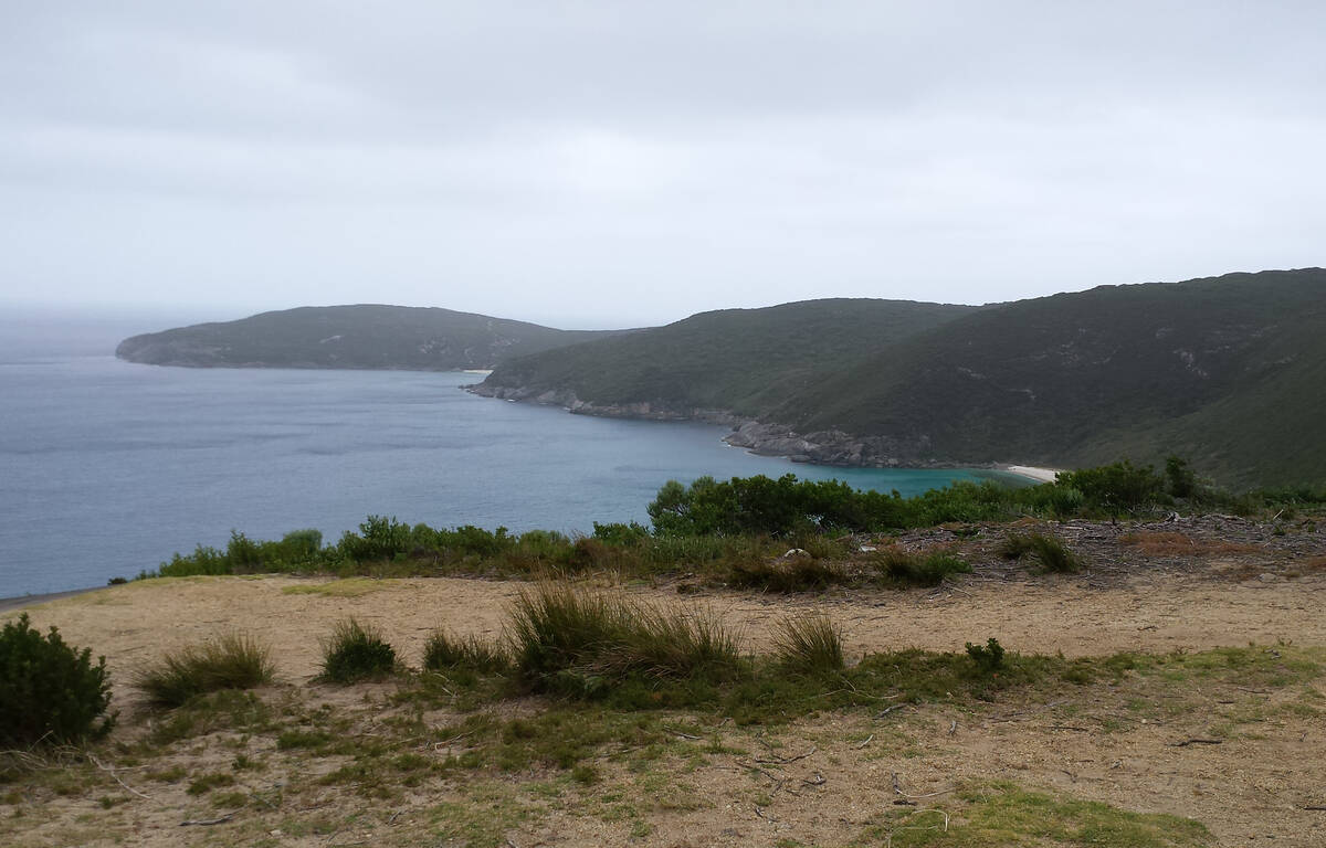 Article image for One man dead, another injured after rock climbing tragedy at West Cape Howe