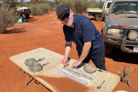 Panther Metals: Serious scale, a brand-new nickel resource in WA – and it’s big!