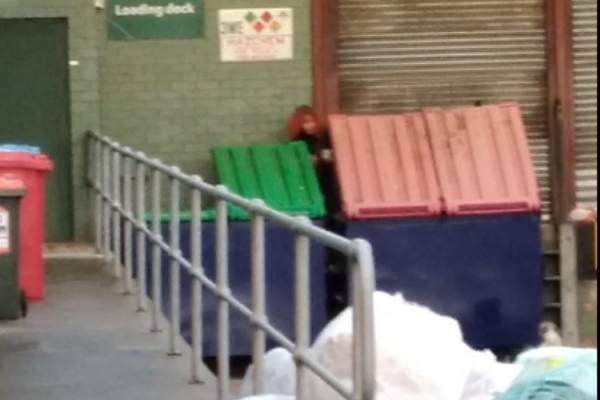 Article image for Dumpster-diving councilor puts food waste in the spotlight