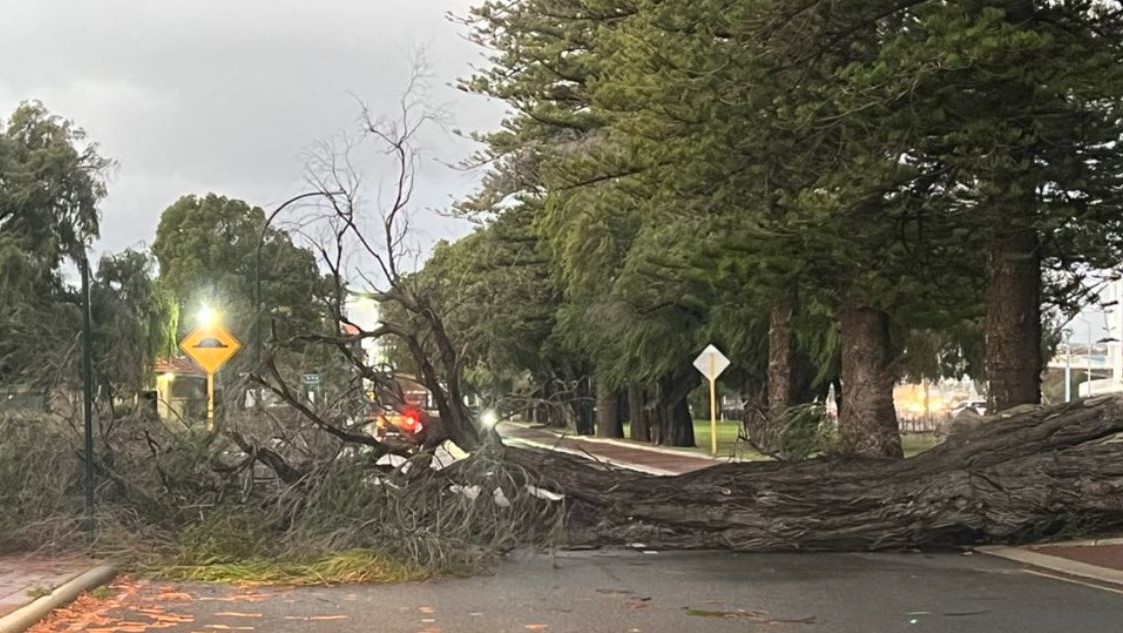 Article image for Power blackouts, dangerous roads as freak storm hits WA