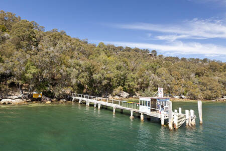 “It could be a very sad place”- Author Adrian Mitchell on the history of Peat Island on the NSW Central Coast