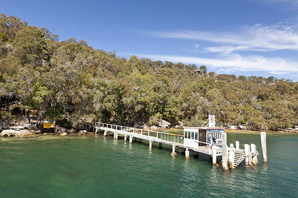 Article image for “It could be a very sad place”- Author Adrian Mitchell on the history of Peat Island on the NSW Central Coast