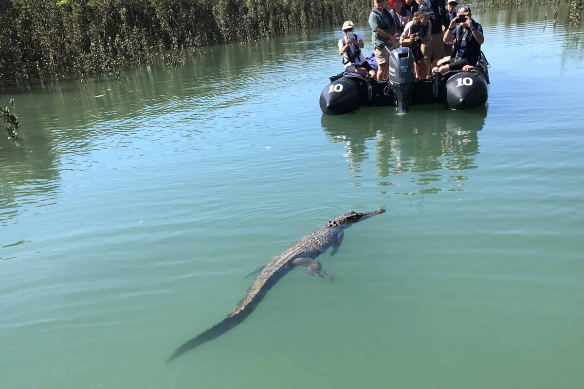 Article image for Is this the Cyclone Creek croc menacing Kimberley tourists?