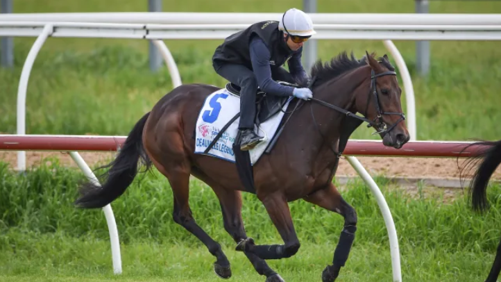 Article image for Melbourne Cup Max delivers final tips