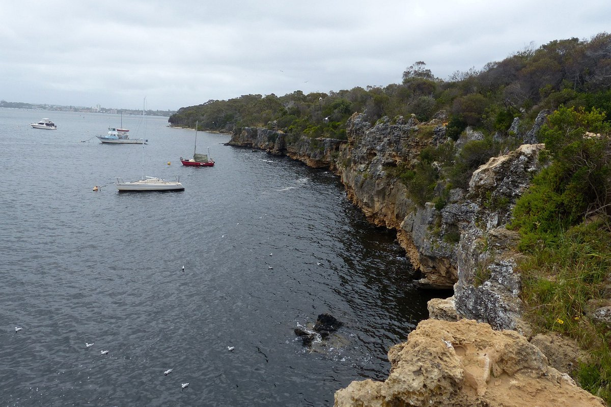 Article image for Bull shark attack survivor calling for shark barrier in Perth river