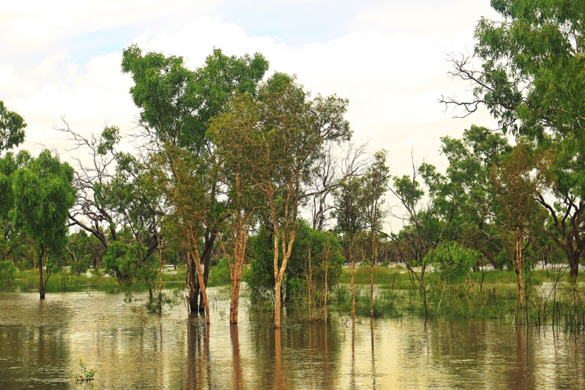 PM announces grant to support those impacted by the Kimberley floods