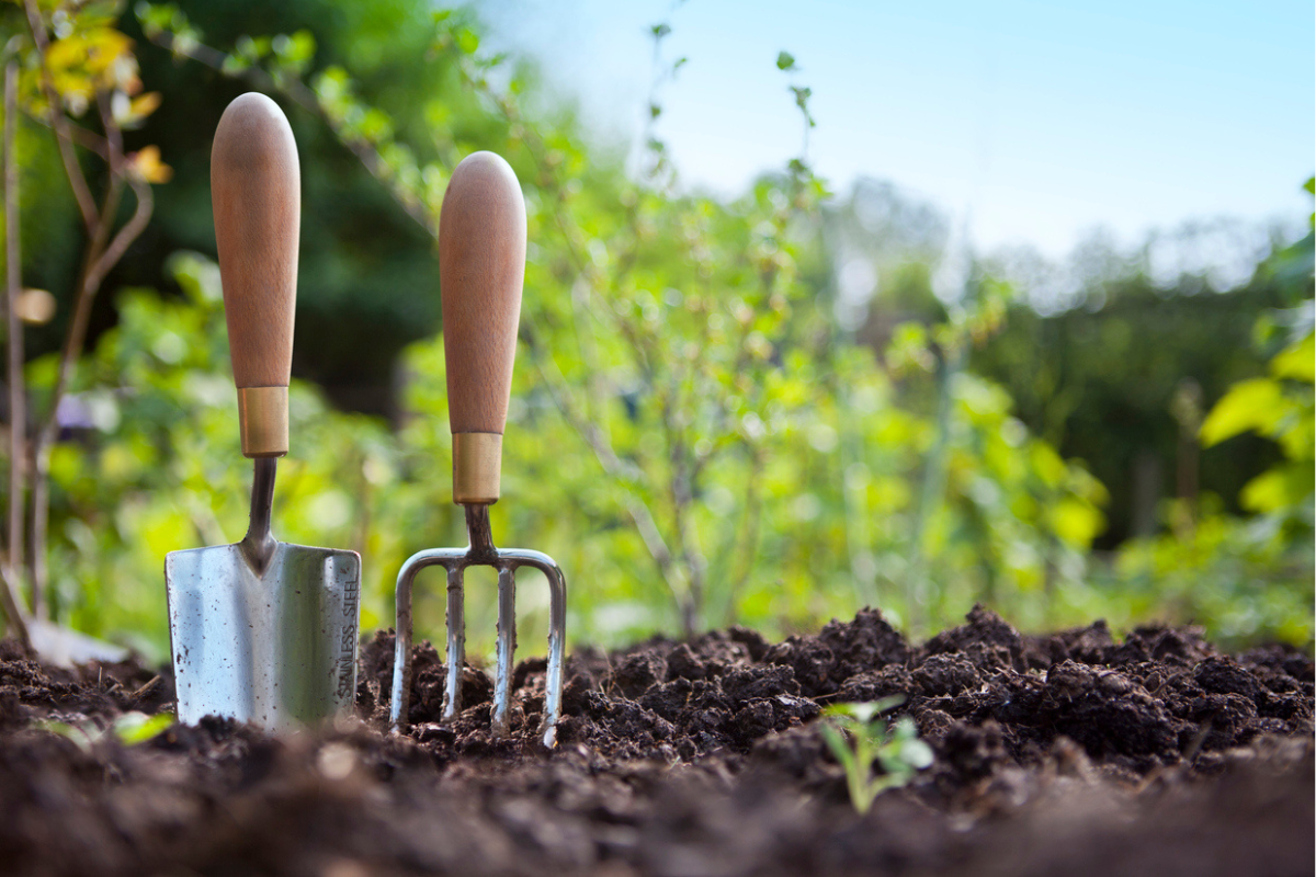 Article image for Body composting: The environmentally friendly way to dispose of a body