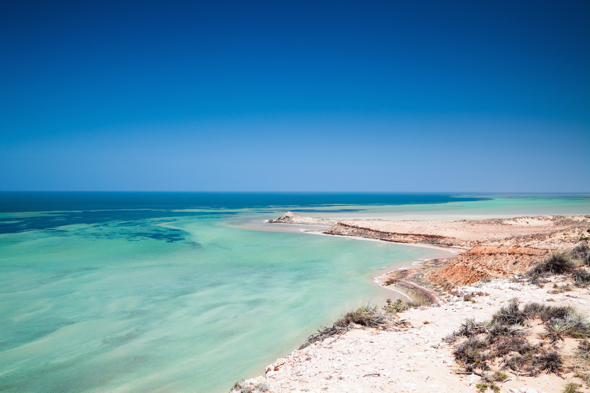 Article image for Climate change destroying one of WA’s most beloved bays