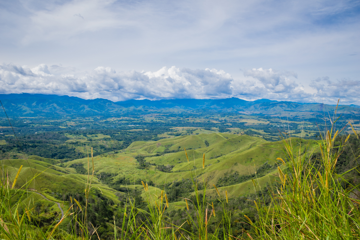 Article image for Australian Professor and three colleagues kidnapped in Papua New Guinea