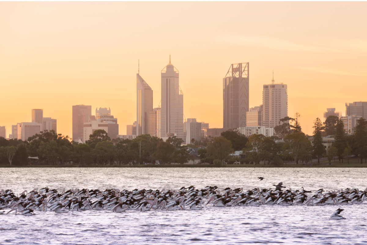 Article image for ‘Walk forward together’: Indigenous Elders call for renaming of Lake Monger