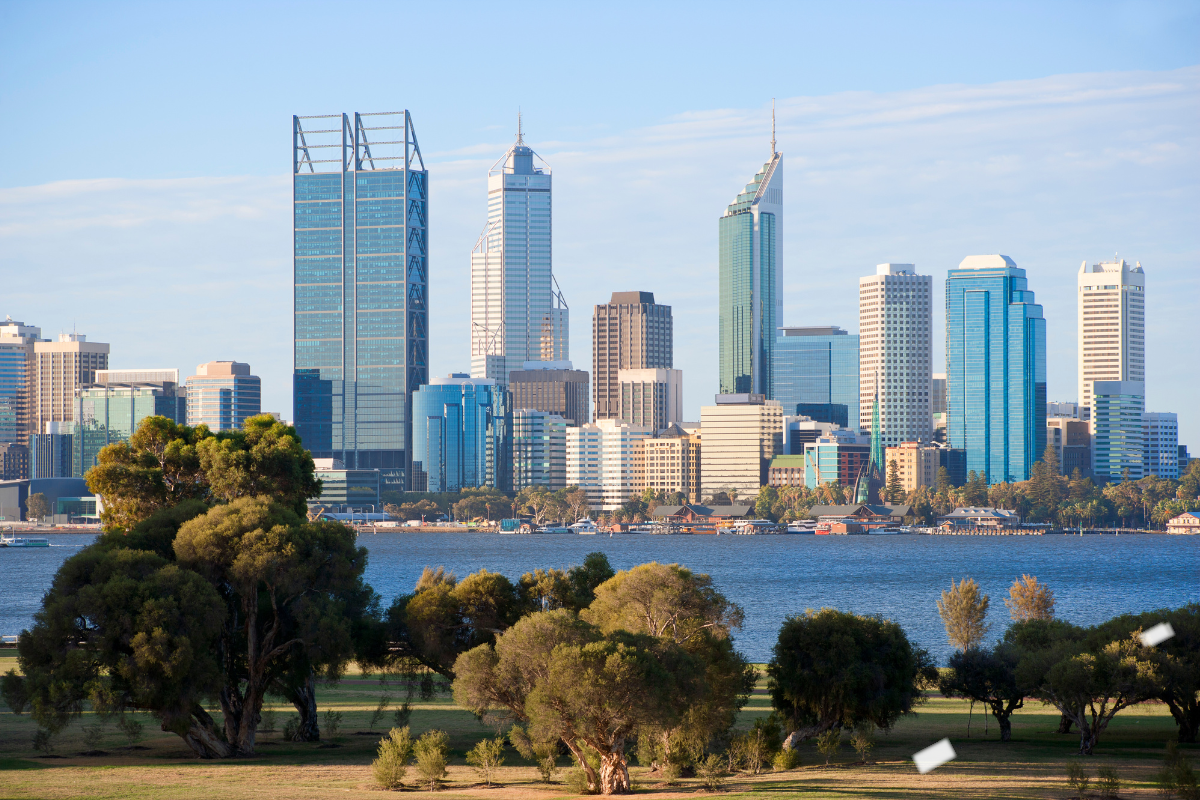 Article image for Perth’s desolate tree coverage fuels demands for change in building laws