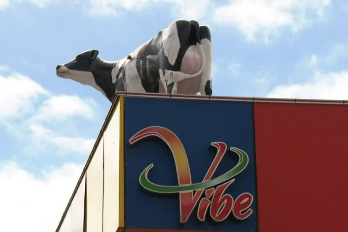 Article image for A big moo-stery: How did a cow get on a servo’s roof?