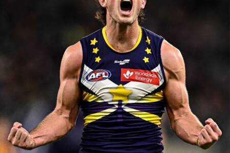 The Dockers down the Hawks in Starlight smashing