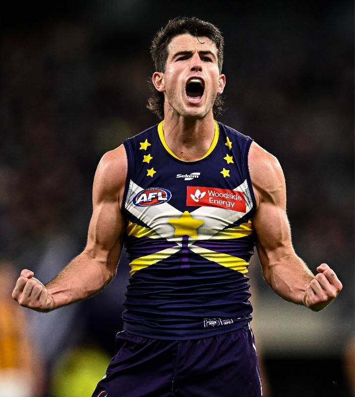 Article image for The Dockers down the Hawks in Starlight smashing