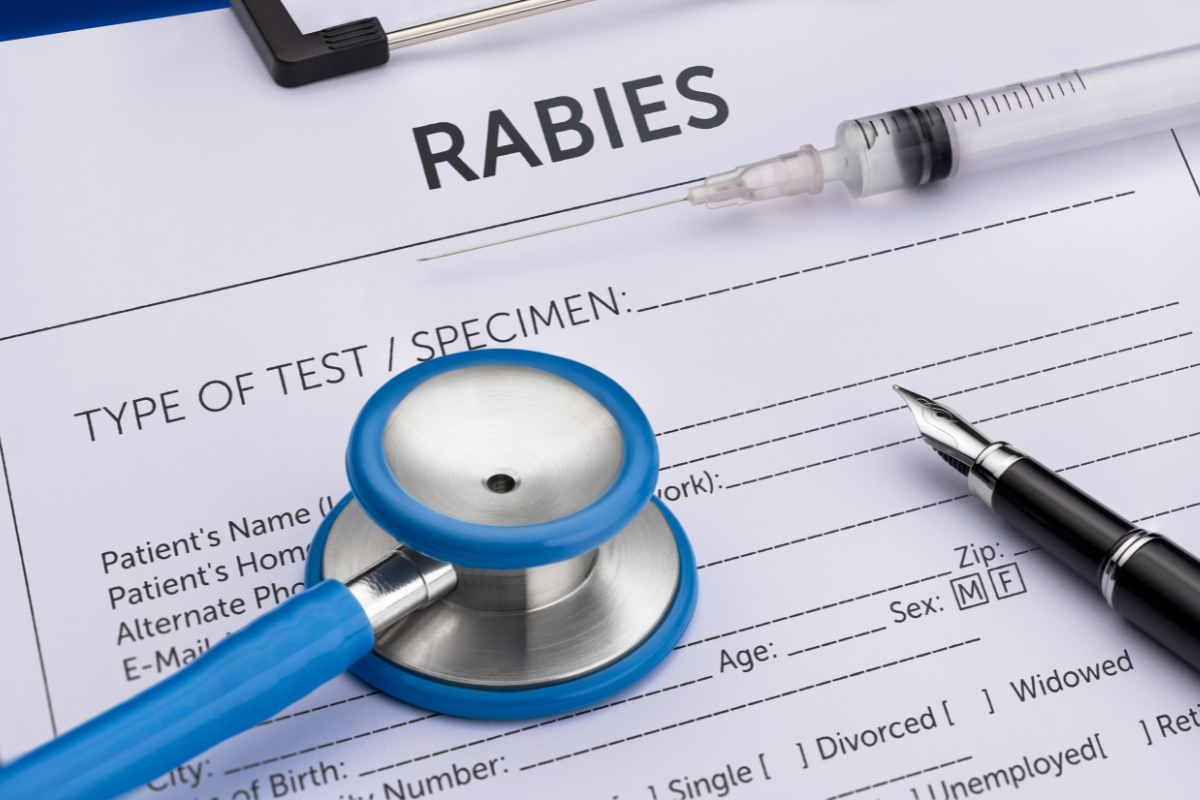 Article image for Rabies on the rise? Doctors warn travellers