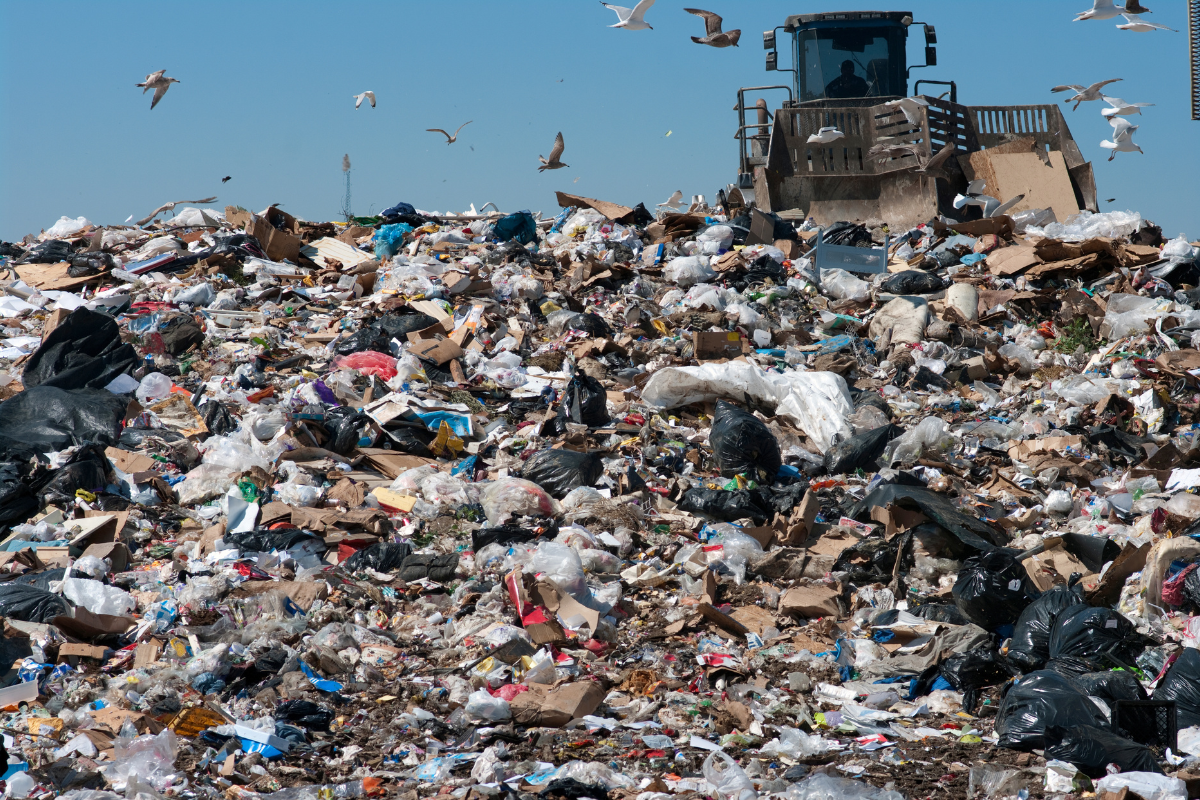 Article image for What one charity is doing to stop $2.5 billion in goods hitting landfills