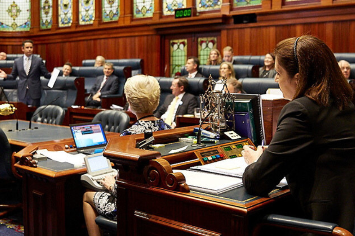 Article image for Government committee being paid for doing nothing, member claims