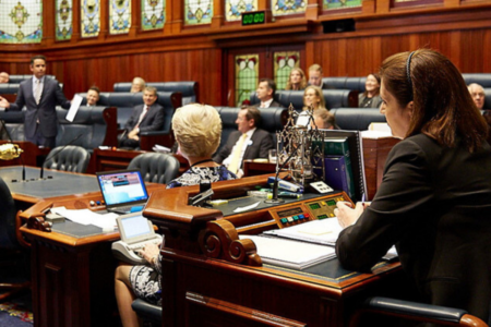 Government committee being paid for doing nothing, member claims