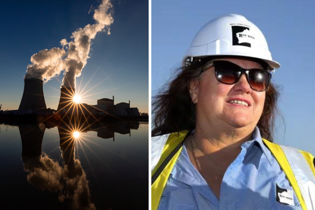 Article image for Gina Rinehart says farmers cant afford net zero, pushes for nuclear energy