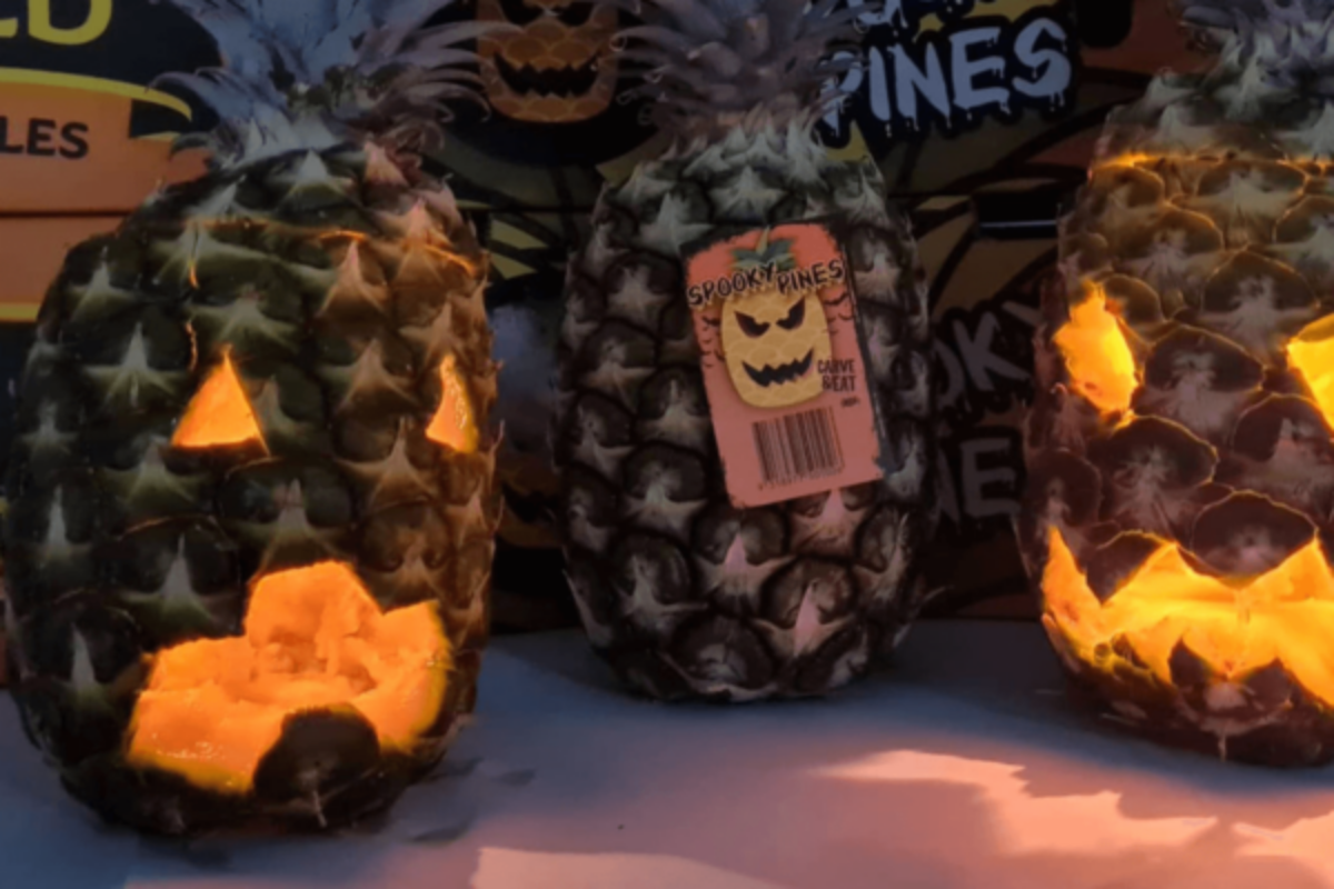 Article image for Pineapple growers push for Halloween help with bumper crops