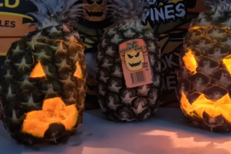 Pineapple growers push for Halloween help with bumper crops