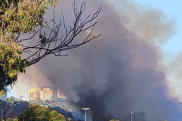 Kings Park Fire