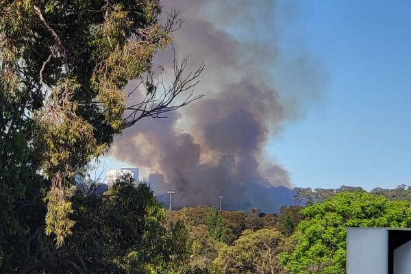 Kings Park Fire