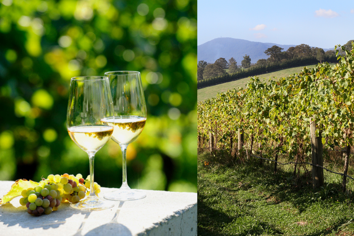 Article image for International expert reveals the truth behind WA’s best wines