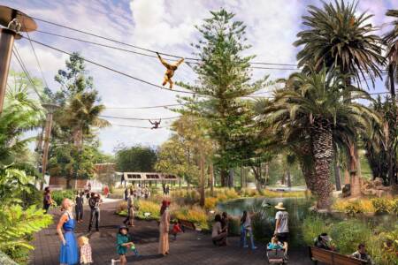 Swingin’ apes! Perth Zoo’s new gibbon crossing enclosure kicks off $11.7 million project