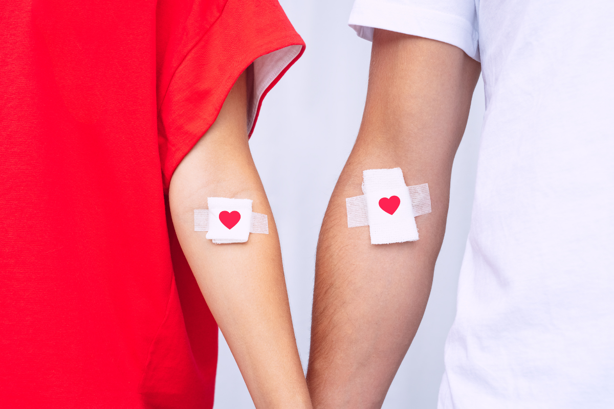 Article image for Red Cross ‘desperate’ for new blood donors