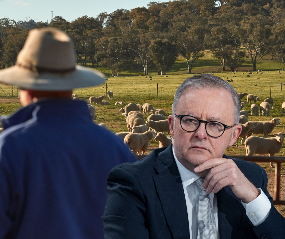 Article image for Farmers Federation beats down Albanese’s claim of focus on agriculture sector