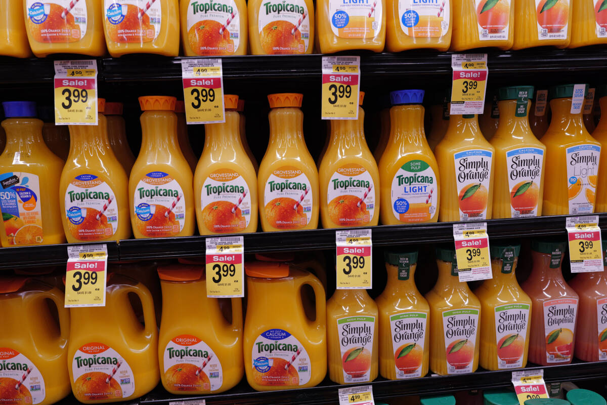 Article image for ‘Severe crisis’ – Australian consumers set to face orange juice shortage