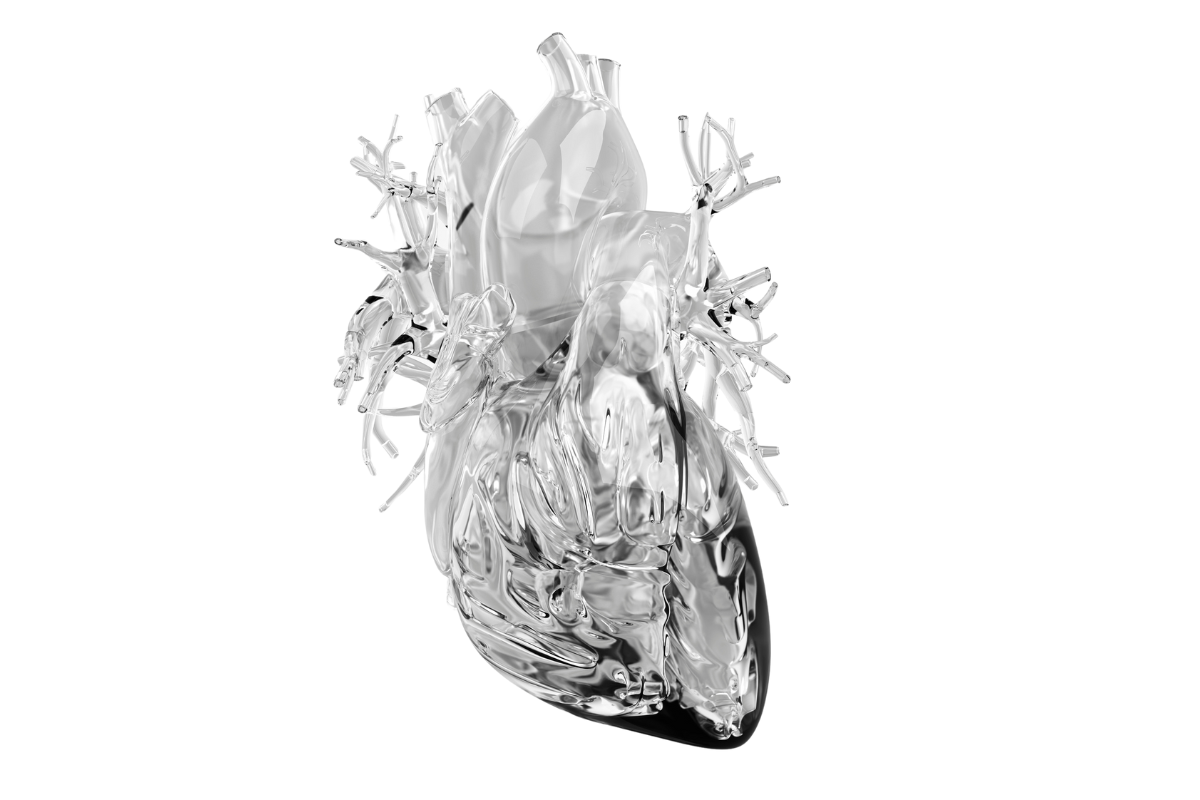 Article image for Aussie-developed bionic heart successfully transplanted into human