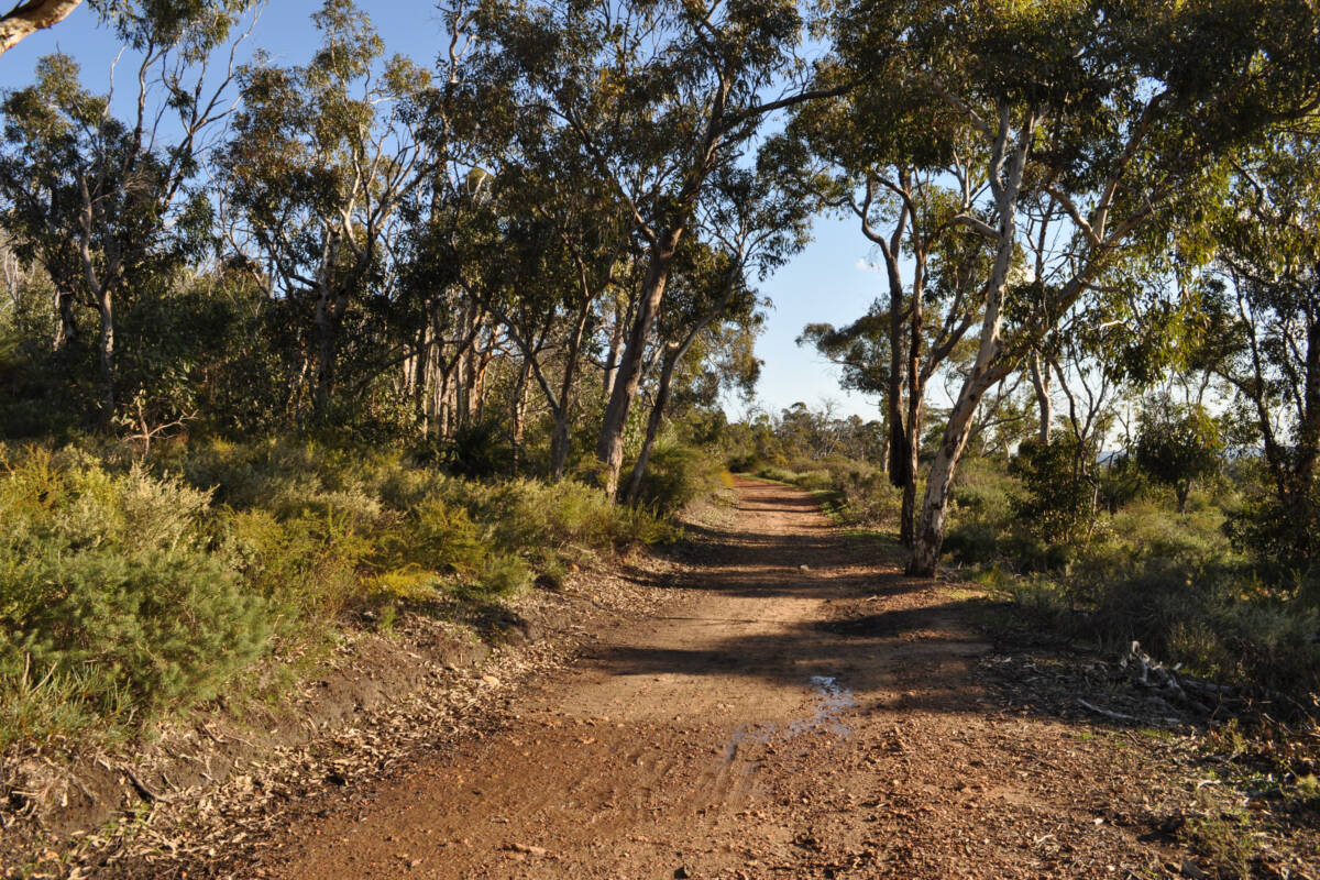 Article image for South West town Dwellingup recognised for its bush trails