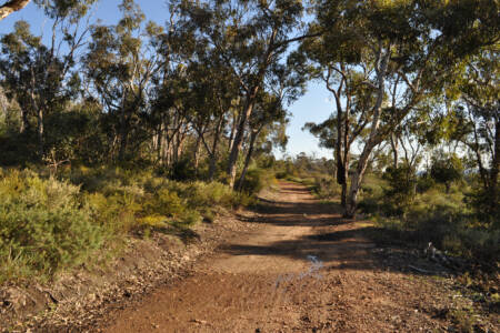 South West town Dwellingup recognised for its bush trails