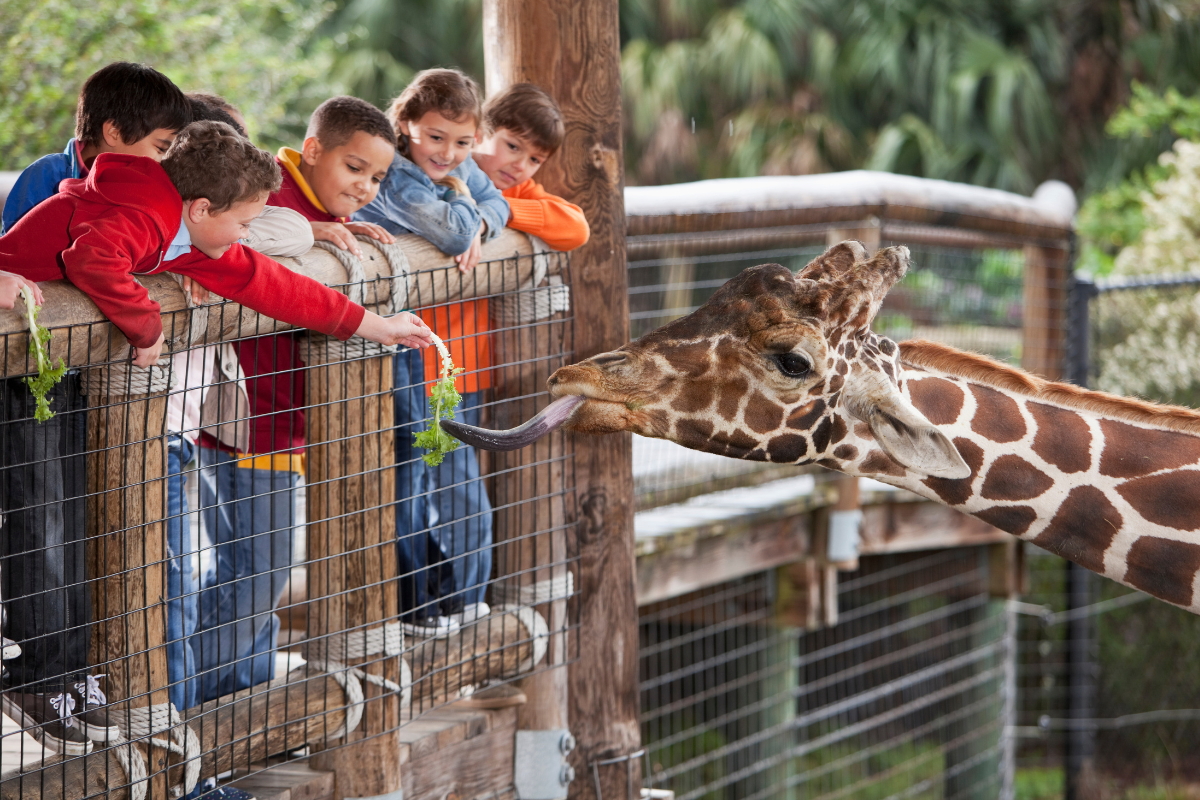 Article image for Taxpayers fund free tickets to Perth Zoo for all West Aussies