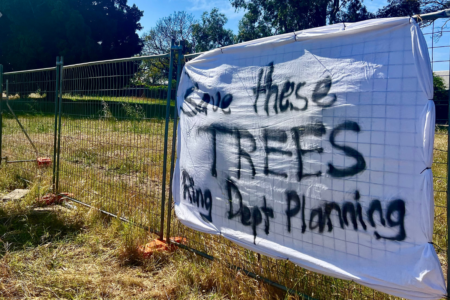 Community fights to ‘save the trees’ in an essential housing project