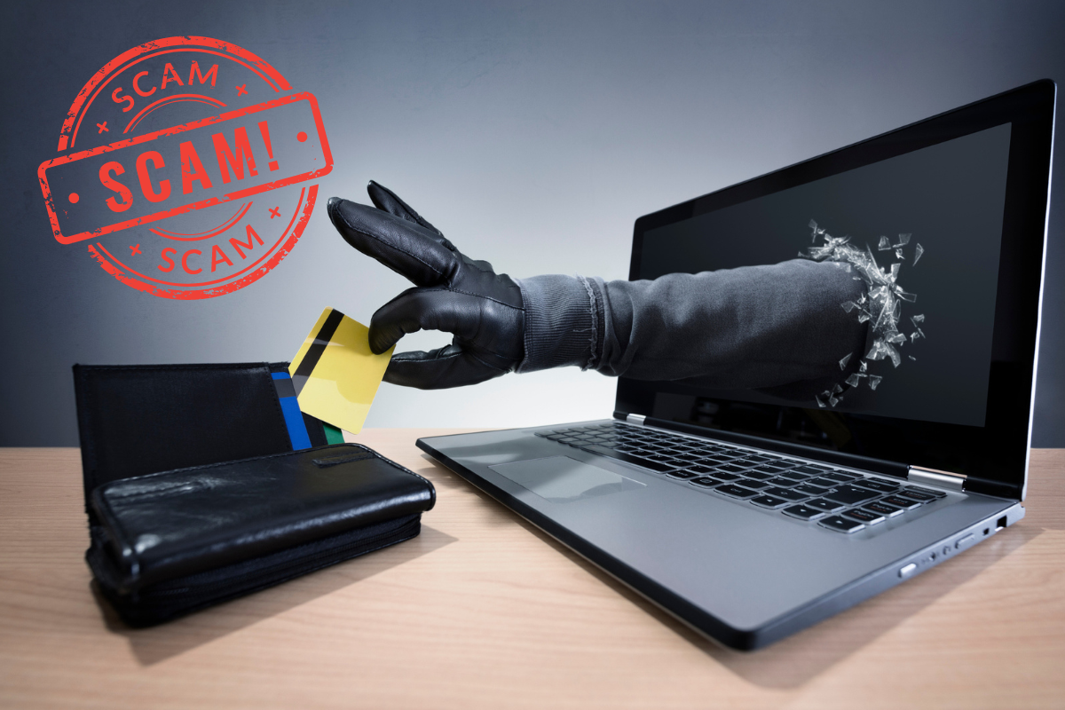 Article image for Insufficient protection during a surge in scams