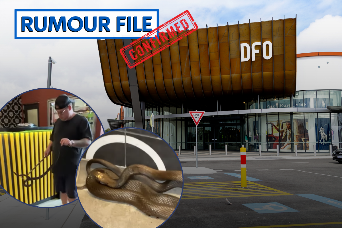 Article image for Rumour Confirmed: Surprise visitor at Perth DFO