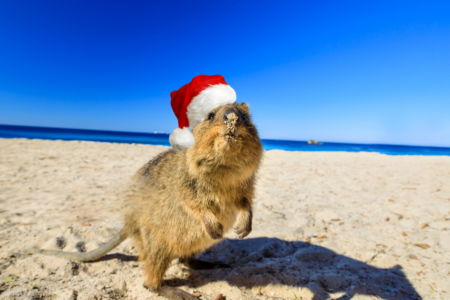 Slim Jim releases a Christmas song about Rottnest