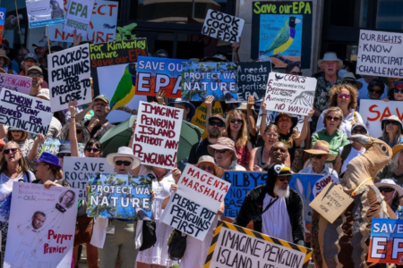 Penguin Island risks closure, with penguin numbers at crisis point