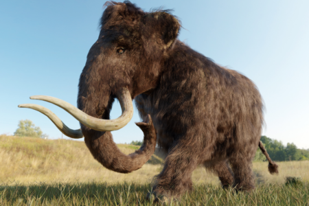 Scientists are working to bring back the woolly mammoth by 2028