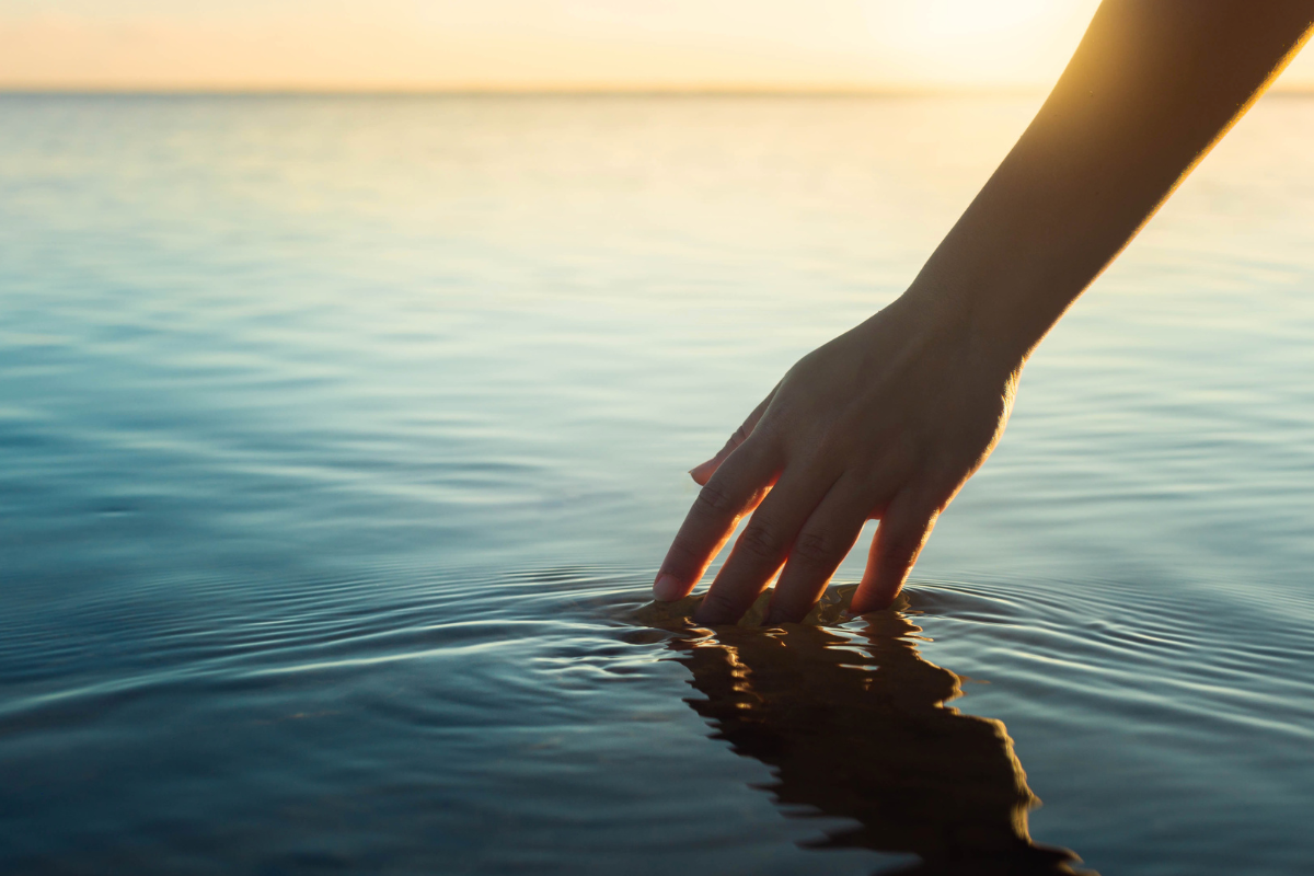 Article image for ‘Dignified way to say goodbye’: Finding a resting place at sea for unclaimed ashes