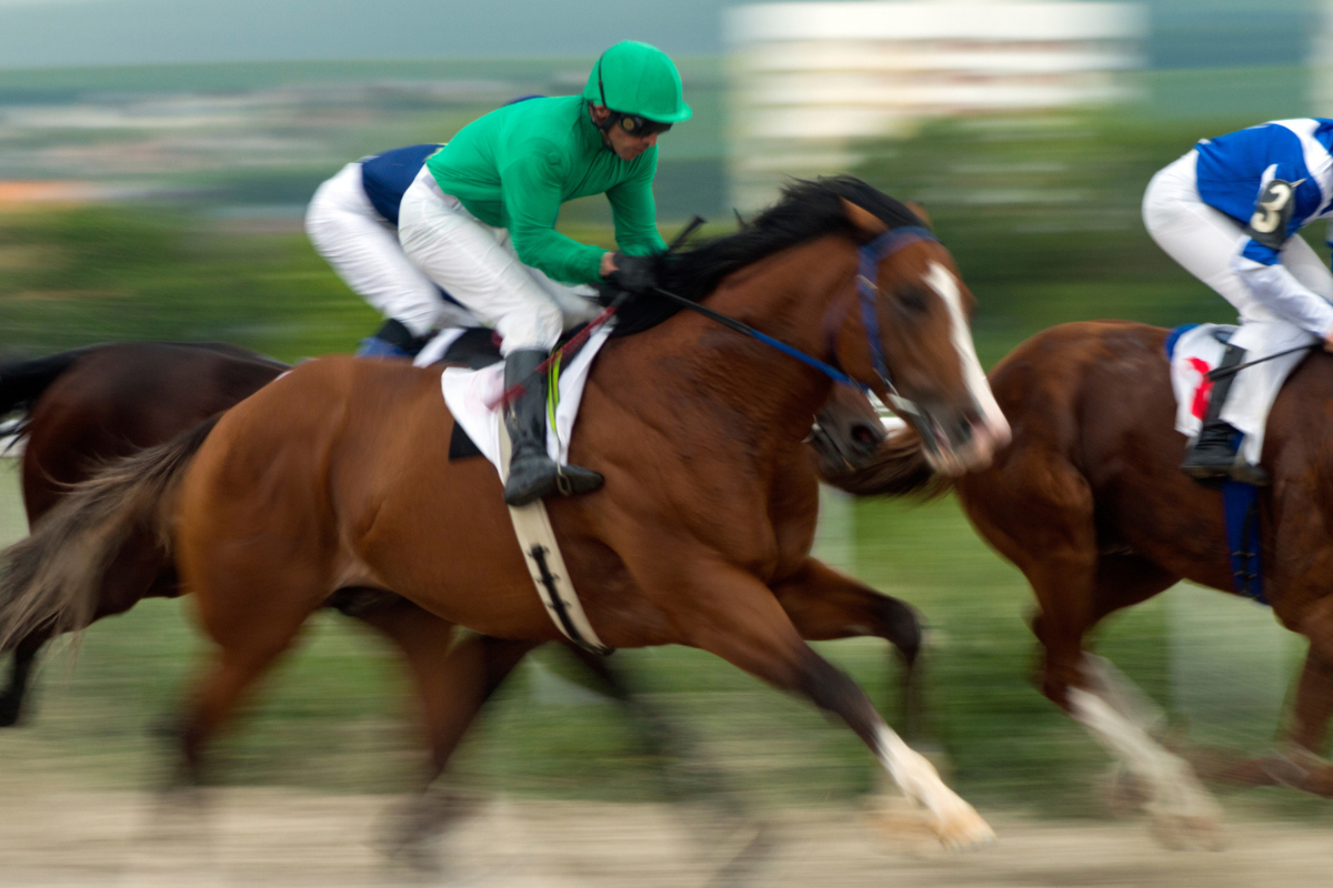 Article image for Racing suspended at Albany Racing Club, threatening the richest horse race in the WA bush