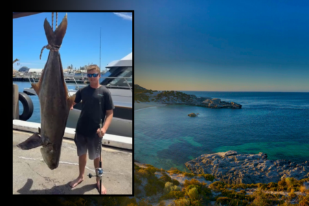 Monster cobia caught near Rotto set to break a world record that has stood for 40 years